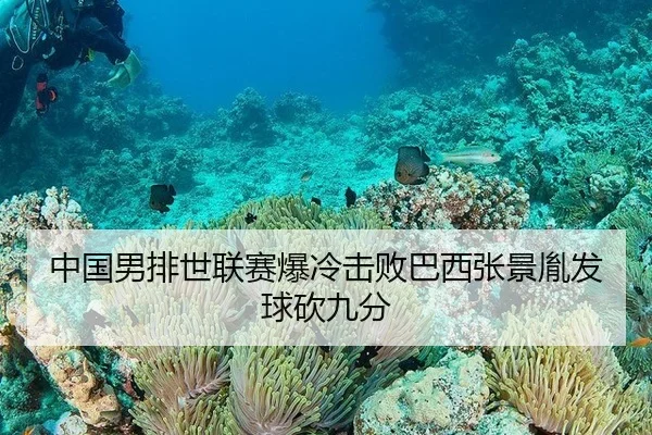 中国男排世联赛爆冷击败巴西张景胤发球砍九分